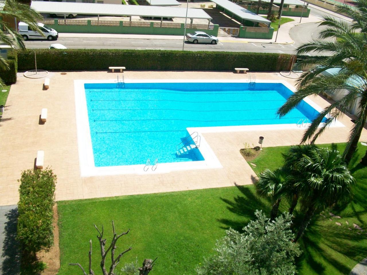 Floresta Gandia - Solo Familias