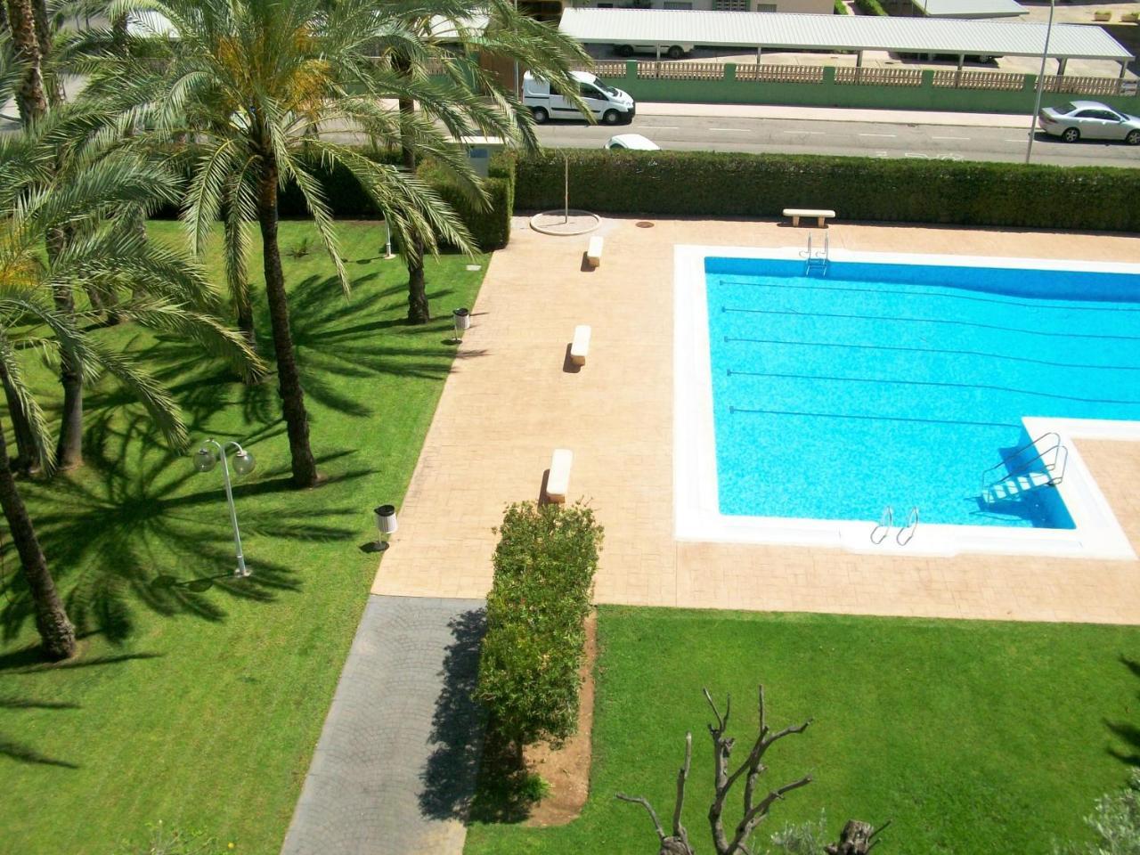 Floresta Gandia - Solo Familias