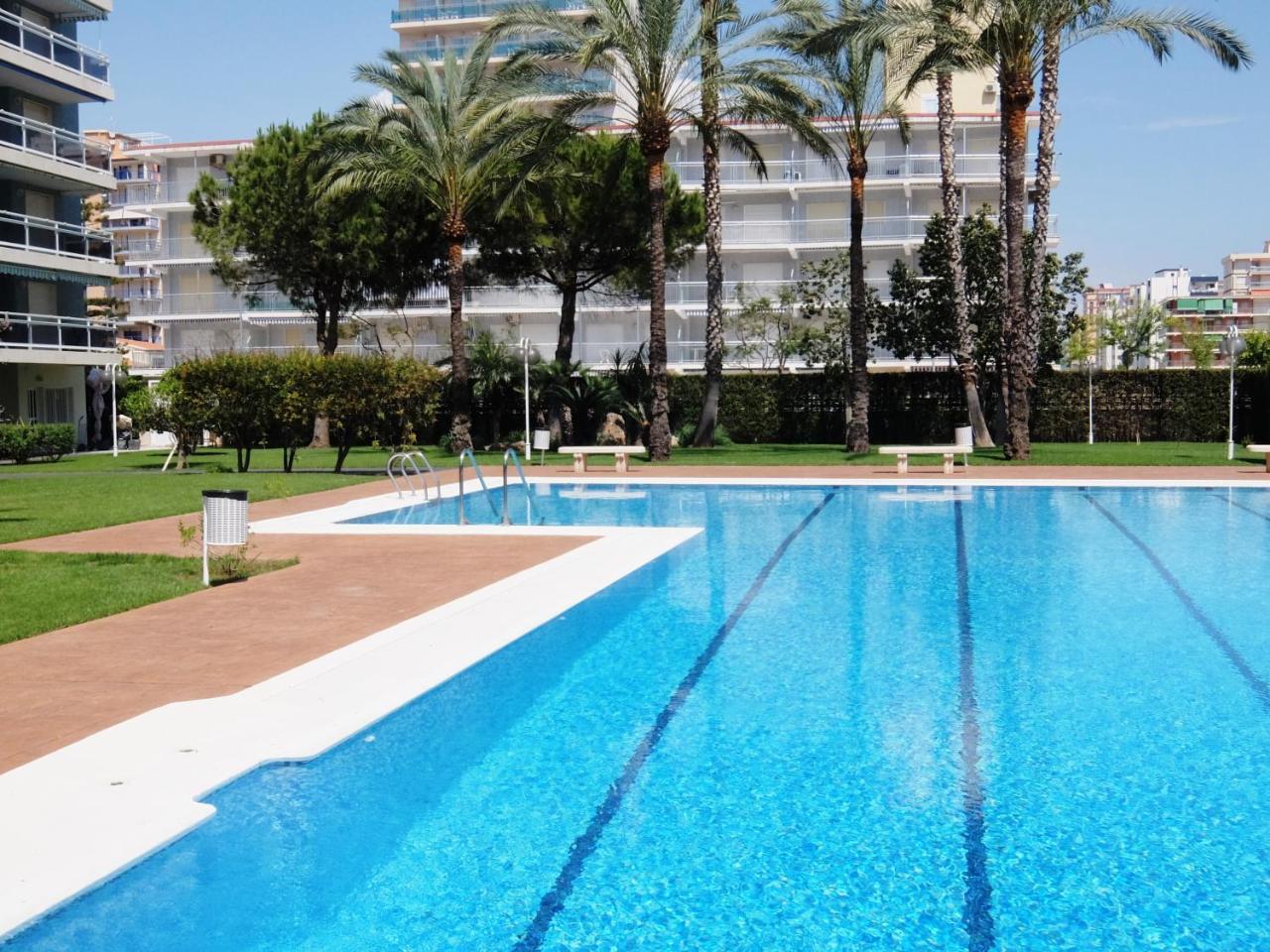 Floresta Gandia - Solo Familias Playa de Gandia