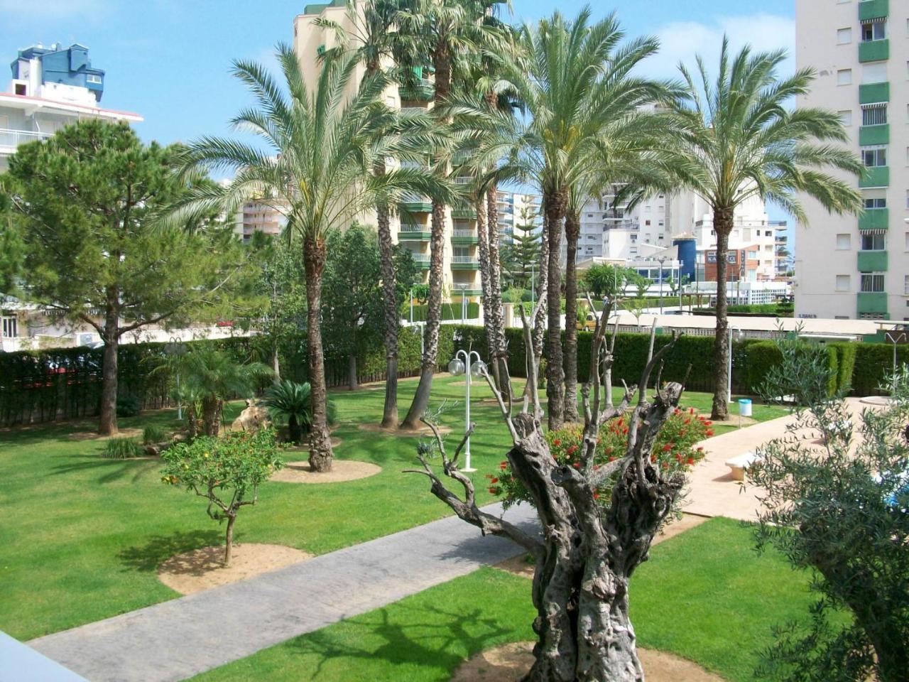 Floresta Gandia - Solo Familias